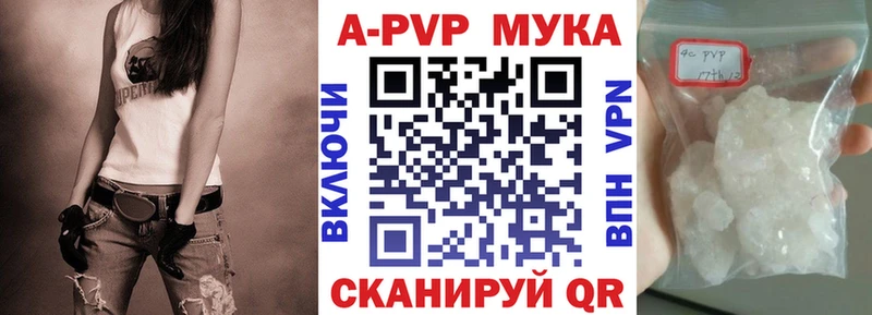 omg сайт  Цоци-Юрт  Alpha PVP СК 
