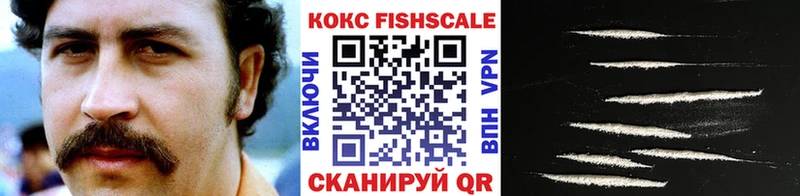 OMG ONION  Цоци-Юрт  КОКАИН Эквадор 