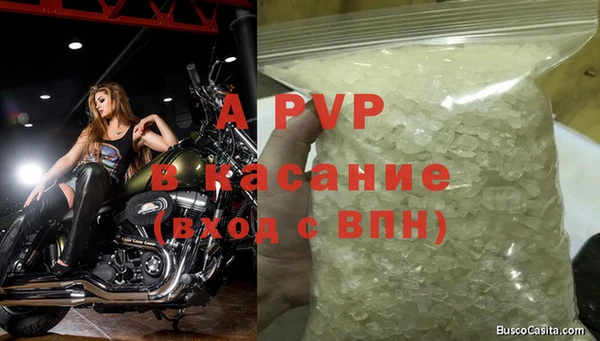 стафф Белокуриха