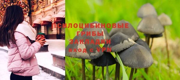 стафф Белокуриха