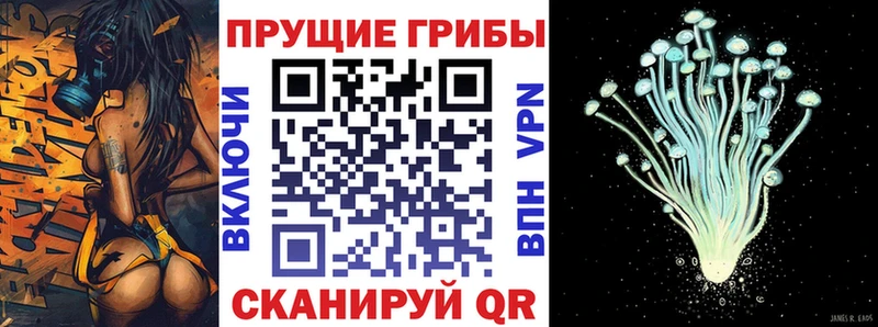 где продают   блэк спрут как зайти  Псилоцибиновые грибы ЛСД  Цоци-Юрт 