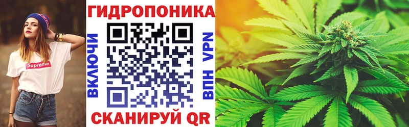 кракен зеркало  как найти   Цоци-Юрт  Канабис гибрид 